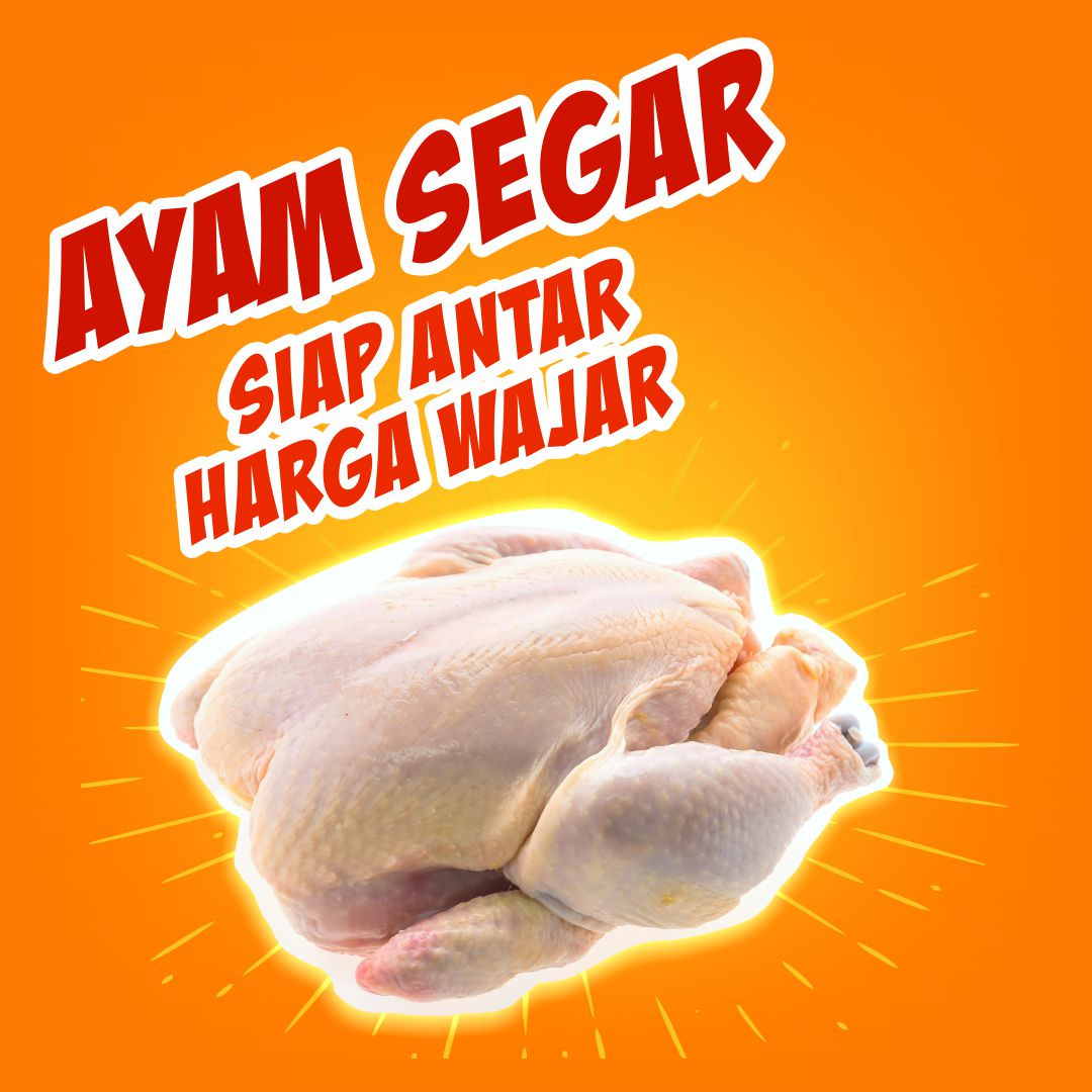 Ayam Segar Utuh